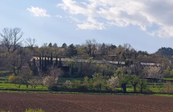 Za nakup stavbnega zemljišča za stanovanjsko pozidavo v Mančah 
ni  bilo ponudb. 