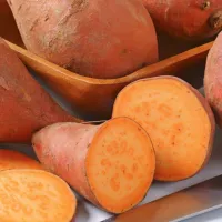 



Sladki krompir ne povzroča hitrih nihanj sladkorja v krvi, kar je 
pomembno za preprečevanje sladkorne bolezni tipa 2.