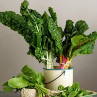 





Temno zelena zelenjava, kot so špinača, blitva, ohrovt in rukola, je 
polna vitaminov in mineralov.



