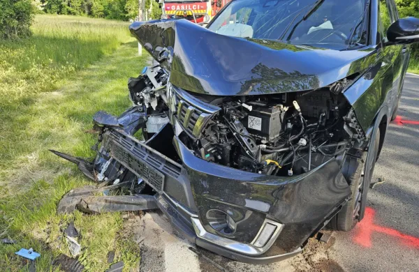 Posledice trkov so zaradi nezaščitenih dreves običajno zelo hude.