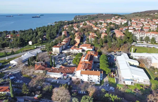 Ankaranska občina ima 31 zaposlenih javnih uslužbencev v 
občinski upravi.