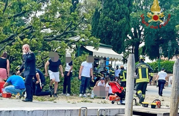 Danes okoli 15. ure se je na zelo obljudenem Piazzale Roma, v 
bližini avtobusne postaje, v Benetkah nenadoma zrušilo drevo, pri 
tem pa pod vejami in deblo ujelo več mimoidočih turistov. 