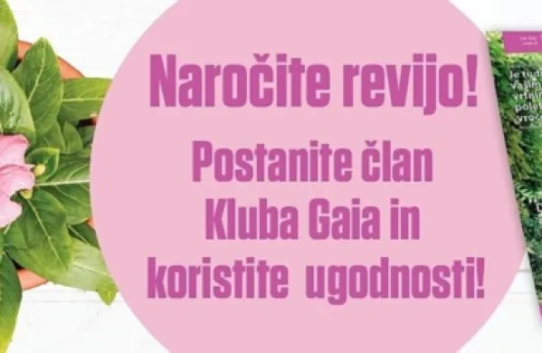 Predčasno odpadanje plodov s sadnega drevja