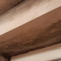 V večini primerov na nastanek plesni vplivajo toplotni mostovi.