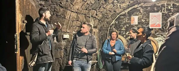 Zgodovinske kleti - na fotografiji klet kmetije Vina Kodre -  kot     male vinske galerije. 