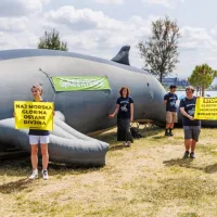 Greenpeace v Kopru: Rudarjenje v oceanih ogroža ves planet (FOTO)