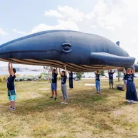 Greenpeace v Kopru: Rudarjenje v oceanih ogroža ves planet (FOTO)