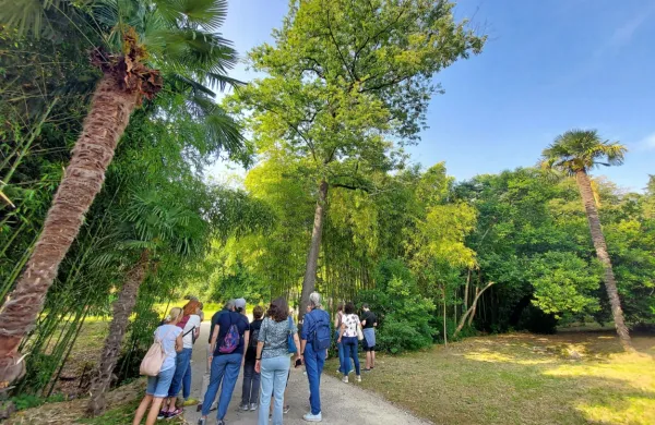 Obiskovalci so zanimive “prebivalce” Rafutskega parka spoznali  v 
družbi arboristke.  
