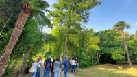 Obiskovalci so zanimive “prebivalce” Rafutskega parka spoznali  v 
družbi arboristke.  