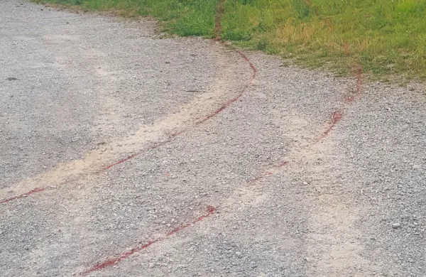 Na sežanskem terminalu je lani prišlo do množičnega pretepa med 
makedonskimi državljani. Enega od udeleženih so hudo poškodovanega odpeljali v izolsko bolnišnico. 