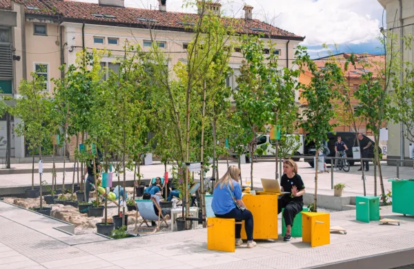 UNG+GO!Borderless potujoči gozdiček na dogodku v Ajdovščini