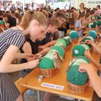 Z državnega tekmovanja v klekljanju, z rekordno udeležbo 191 
otrok, je večina naslovov odšlo na Col, Črni Vrh in v Podkraj.