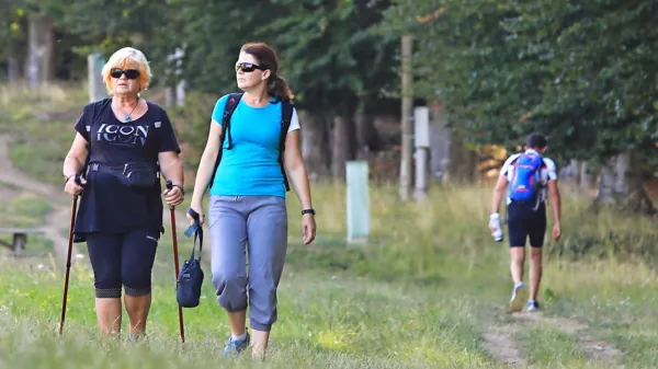 Kneipp je predstavljal celosten in naraven način za ohranjanje in 
izboljšanje zdravja, eden od stebrov je tudi gibanje.