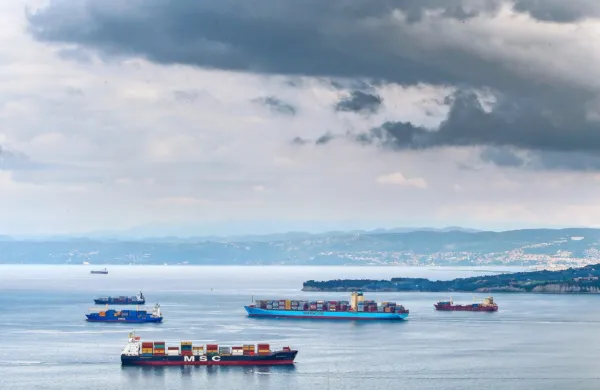 Zaradi nejasne zakonodaje in  pomanjkanja predpisov  pa poklic 
izgublja privlačnost.