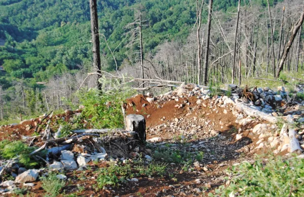 Kolesarska proga Renčelica je speljana po pobočju pod Renškim 
vrhom.