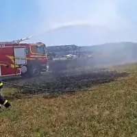 Ponoči goreli smetnjaki, včeraj pšenično polje (FOTO)
