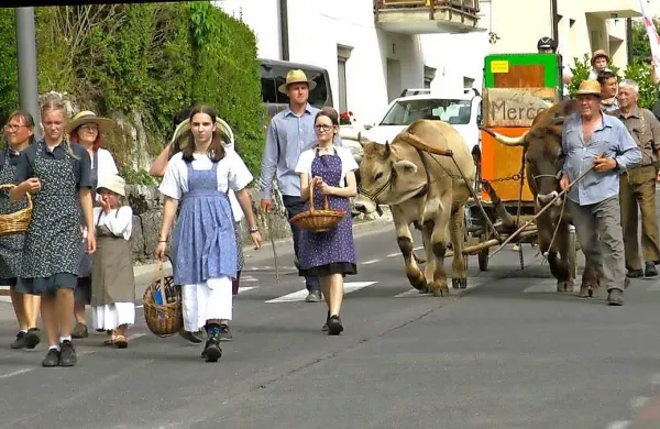 S Furmanskim praznikom želijo organizatorji prikazati bogato 
dediščino tovorniških in prevozniških dejavnosti.