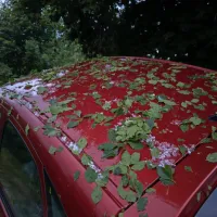 Neurje s točo na Ajdovskem: “Začelo je klestiti in pokati, nekateri kosi so bili večji od štirih centimetrov”