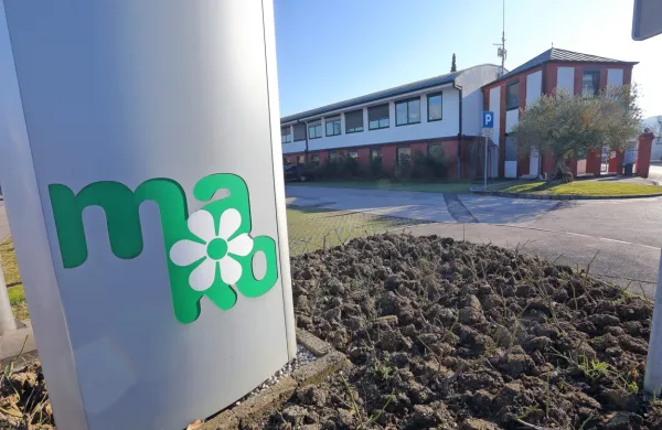 V primeru potrditve nadomestnih nadzornikov, boimel nadzorni 
svet ponovno vseh pet članov.  