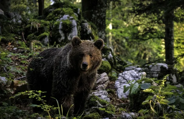 Fotografija je simbolična.
