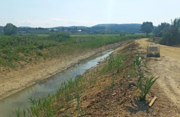 Zgradili bodo nov namakalni sistem na bonifiki