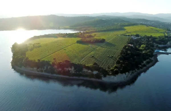  Na celotnem območju Krajinskega parka Debeli rtič je kurjenje 
prepovedano. Predpisana globa za tovrstno kršitev znaša 100 
evrov.