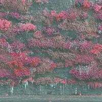 Sleep Token $@ : Even in Arcadia
RCA, 2025
cena: 42,70 evra (vinil)