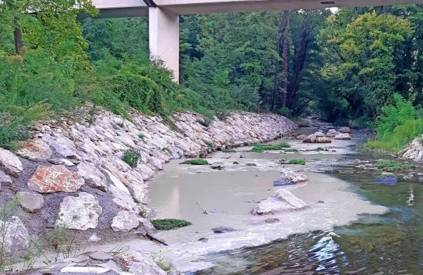 Eden od številnih primerov, ko je bila reka Rižana vidno onesnažena z materialom, ki se ob močnejšem deževju izpira iz 
območja kamnoloma.

