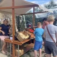 Praznik vina in česna v Novi vasi: kdor prej pride, prej okuša