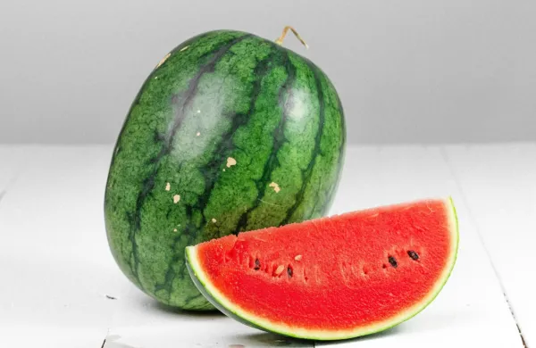 Fotografija je simbolična.