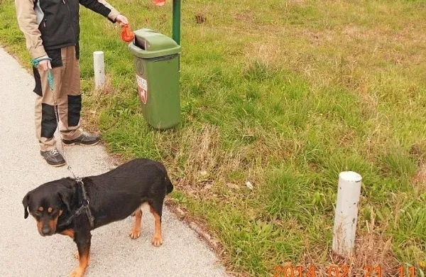 Tržačane motijo pasji iztrebki in hrupni sosedje