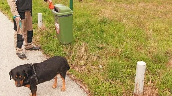 Tržačane motijo pasji iztrebki in hrupni sosedje