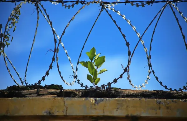 Fotografija je simbolična.