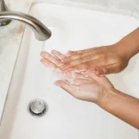 Svetujejo, da si roke umijete pred vsakim obrokom  in ko zapuščate 
sanitarne prostore, če je mogoče pa jih obrišete v papirnate 
brisače.