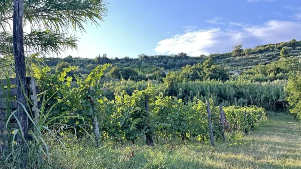 Po nekoliko hladnejših in bolj oblačnih dneh zdaj prihaja suho in 
sončno vreme.