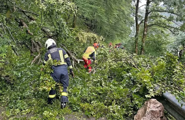 V okolici Bovca so gasilci s hitrim odstranjevanjem podrtih dreves 
rešili skupino ujetih kolesarjev.
