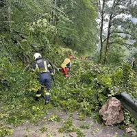 V okolici Bovca so gasilci s hitrim odstranjevanjem podrtih dreves 
rešili skupino ujetih kolesarjev.