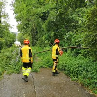 V občini Kanal je neurje povzročilo vetrolom. Takole so posledice pri Močilih odstranjevali domači gasilci. 