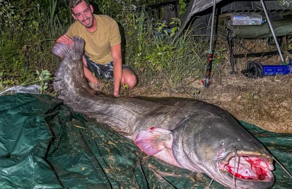 Klemen Berce si bo ulov 247-centimetrskega soma zapomnil za vse 
življenje.