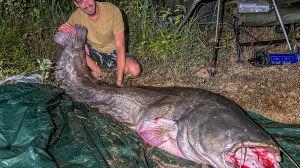 Klemen Berce si bo ulov 247-centimetrskega soma zapomnil za vse 
življenje.