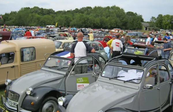 Tako je videti prizorišče na srečanju ljubiteljev spačkov.