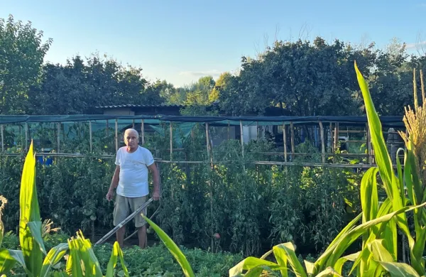  Straško Ilievski je hvaležen, da sta z ženo lahko več kot desetletje 
obdelovala svoj vrtiček.