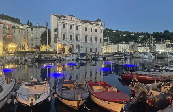 Nova osvetlitev piranskega mandrača razsvetljuje tudi odnos do okolja