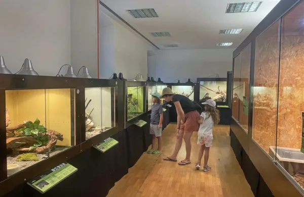 Razstava kač je primerna za obiskovalce vseh starosti, tudi 
otroke.