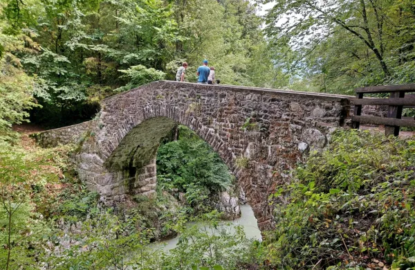 Nesreča se je zgodila v bližini Napoleonovega mostu (na fotografiji).