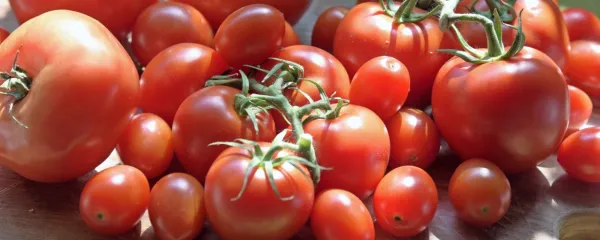 Domači paradižnik je gotovo najboljši.