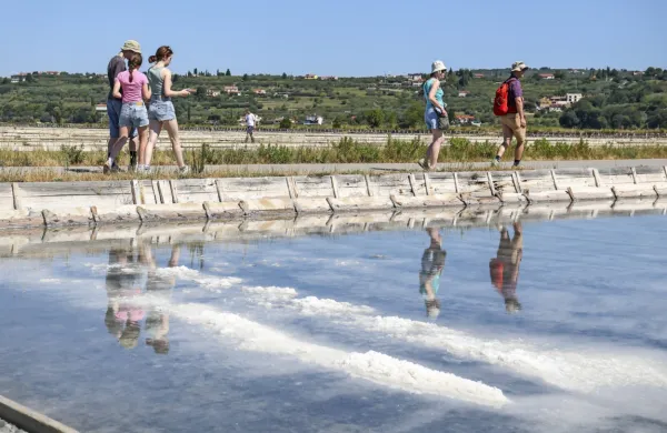 Čeprav je muhasto vreme zmanjšalo pridelek, je število obiskovalcev v juliju v Sečoveljskih solinah naraslo.