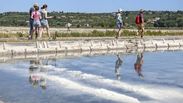 Čeprav je muhasto vreme zmanjšalo pridelek, je število obiskovalcev v juliju v Sečoveljskih solinah naraslo.
