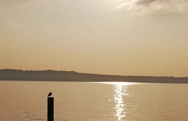 Solarna joga lahko vodi v nepovratne okvare vida