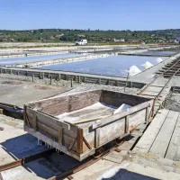 Solinarji so grabili  sol vse do goda Sv. Jerneja konec avgusta, ko se 
je sezona zaključila.       